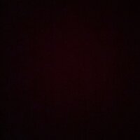 Pixelfed profile picture for @Person
